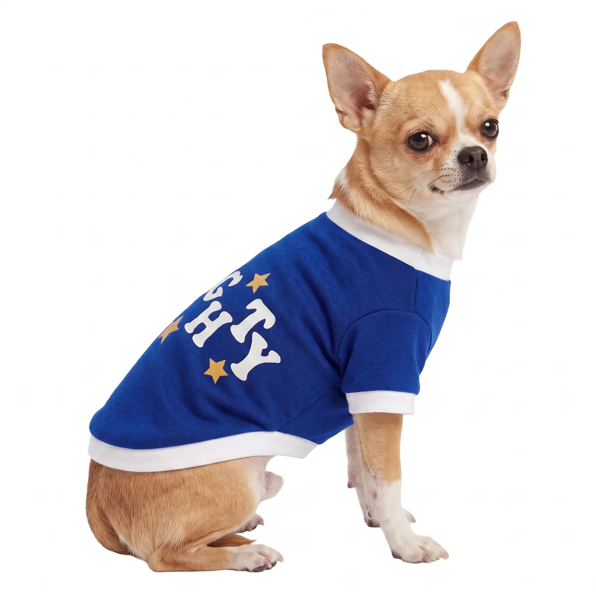 Holiday T-shirt Winter Blue