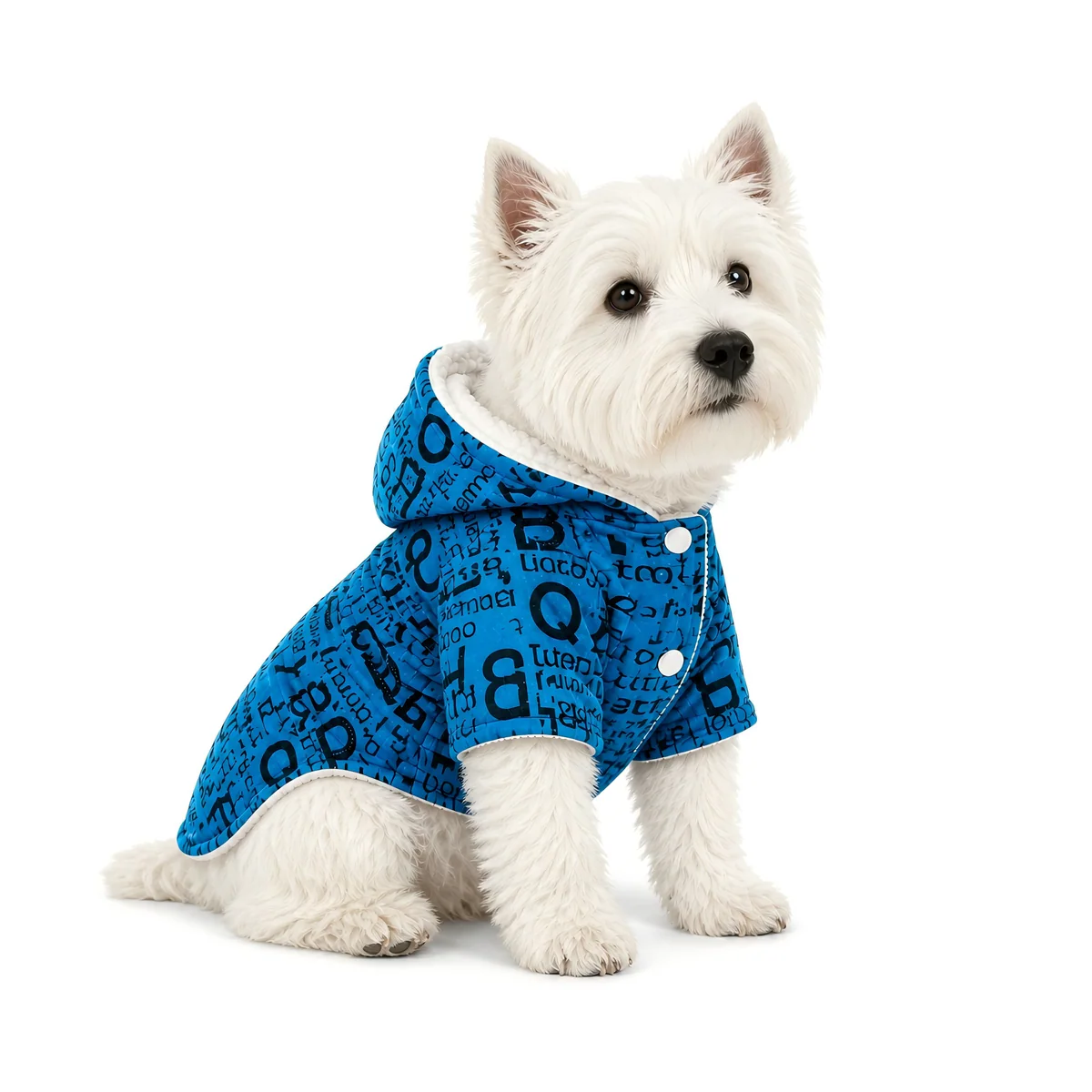 Letter Hoodie Mist Blue